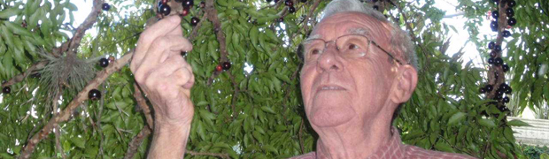 Tributo a Taquara com sotaque holandês