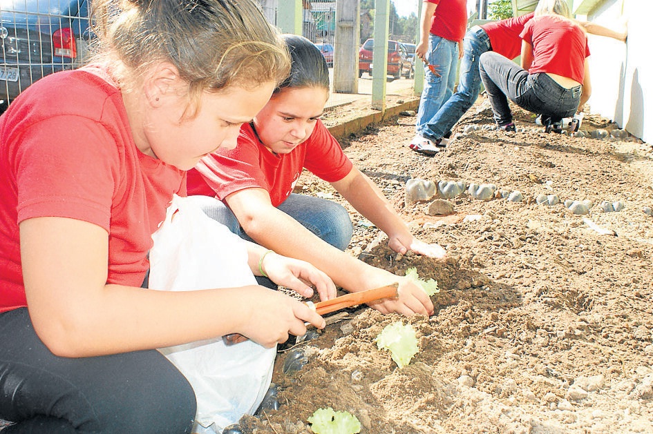 Taquara integrará caderno do MEC por boas práticas na alimentação escolar