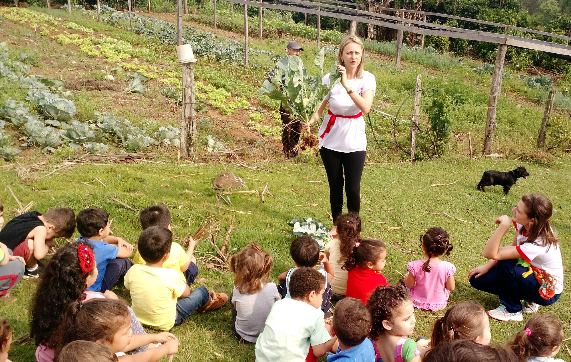 Escolas de Taquara ganham reconhecimento pela participação da Jornada de Educação Alimentar e Nutricional