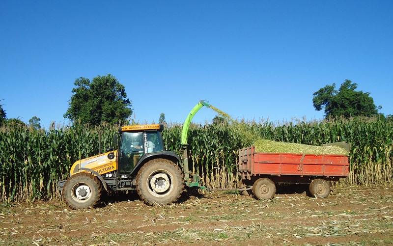 Secretaria de Agricultura realiza 129 atendimentos a agricultores no mês de julho em Igrejinha