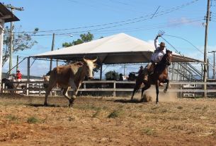 Festão Campeiro e Rodeio Internacional movimentam Taquara a partir desta sexta-feira