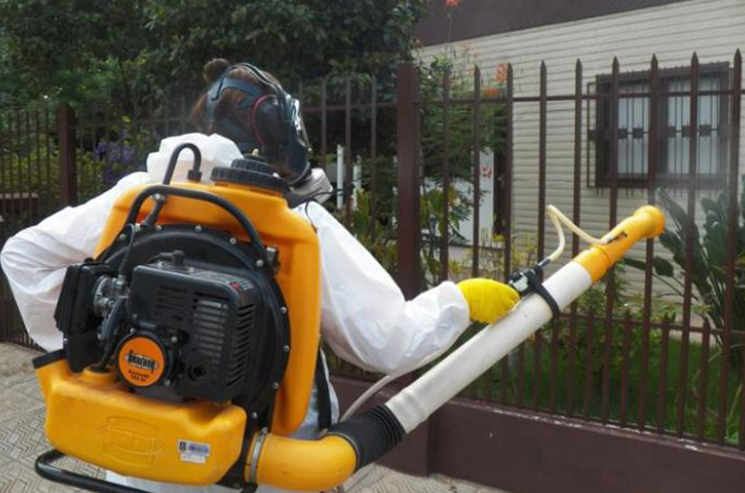 Ações buscam combater o mosquito transmissor da dengue em Parobé