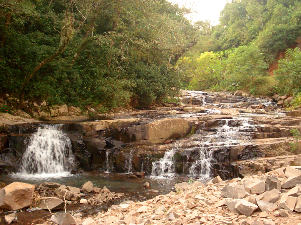 Bons programas para reunir os novos amigos após a Oktoberfest