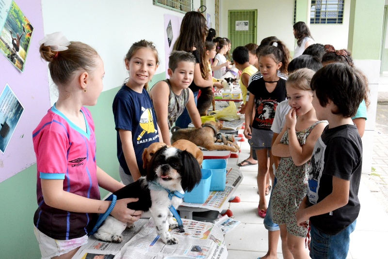 Alípio Sperb promove mais uma edição do projeto “Todo bichinho merece carinho”
