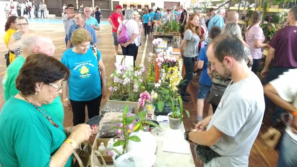 Diversão, música, alegria e gastronomia: a festa da melhor idade na Oktoberfest