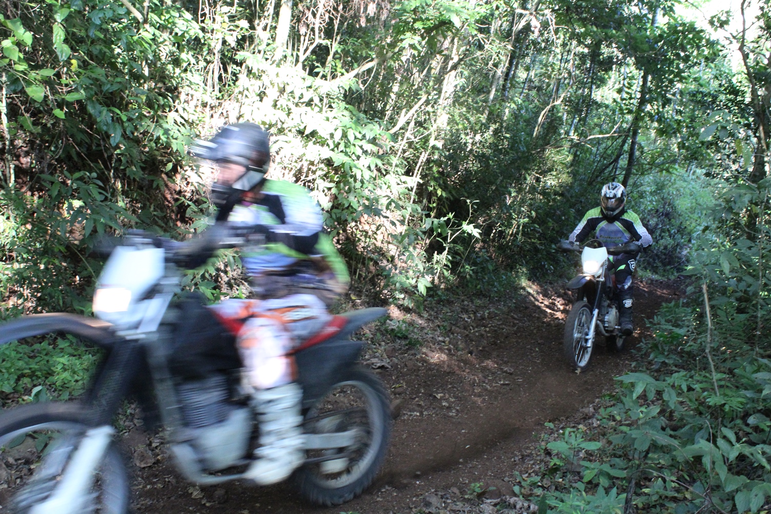 Domingo tem Trilha Cidade Verde em Três Coroas