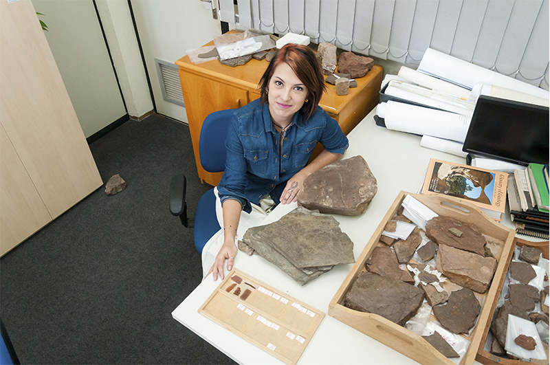 Descoberta feita por pesquisadora taquarense é destaque em revista internacional