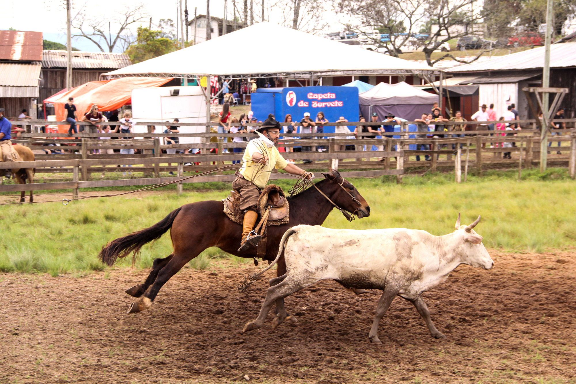 Prova de Laço é declarada patrimônio cultural e imaterial de Taquara