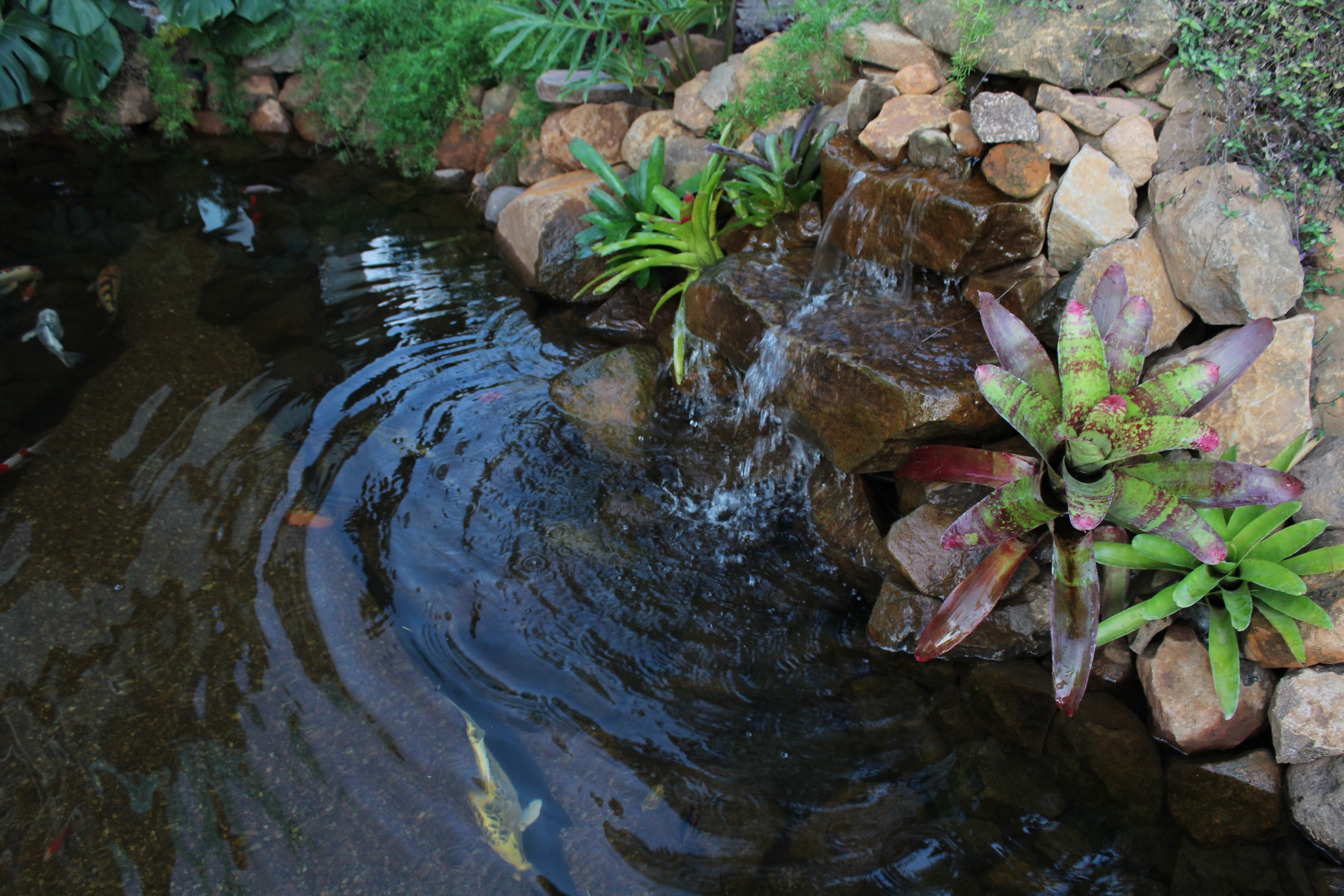 Concurso premiará o mais belo jardim residencial de Três Coroas
