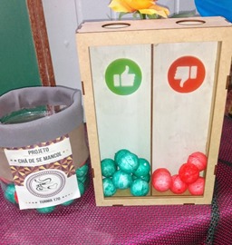 Alunos da Escola Professora Noemy Fay dos Santos (Parobé) realizam projeto "Chá de Semancol"