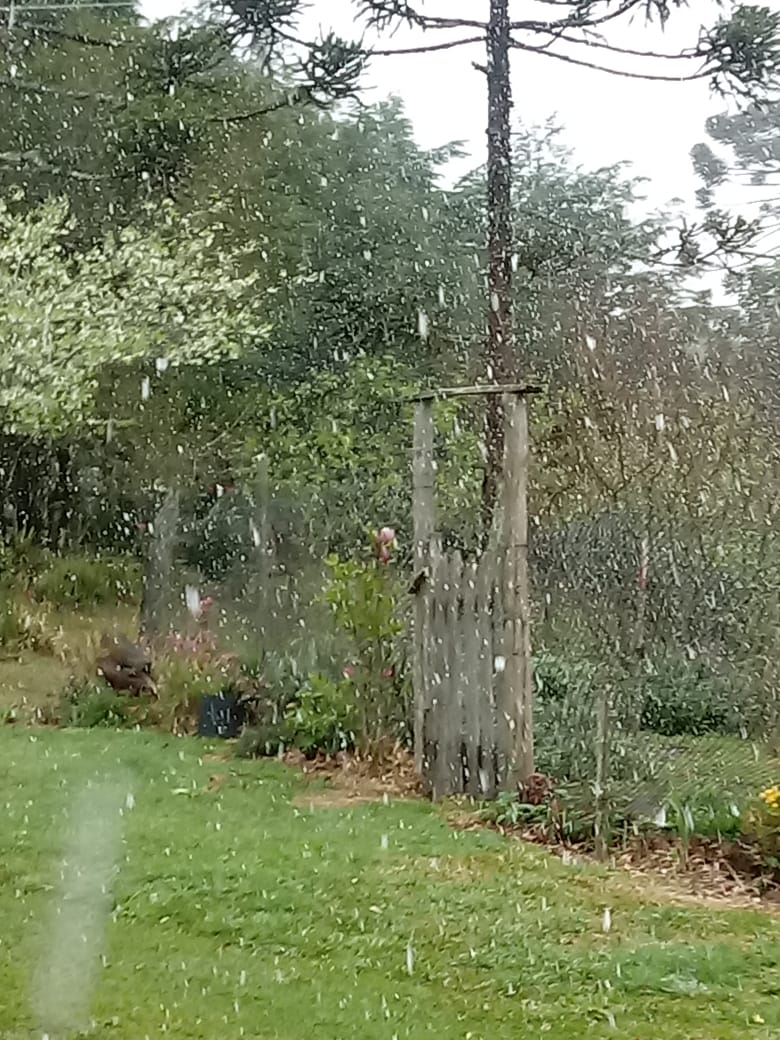Riozinho registra neve nesta quinta-feira (20)