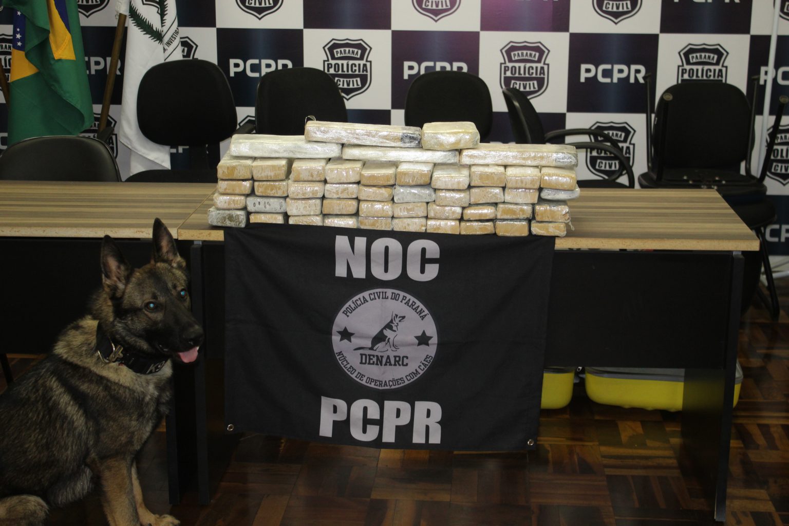 Polícia Civil do Paraná apreende maconha que tinha como destino Taquara