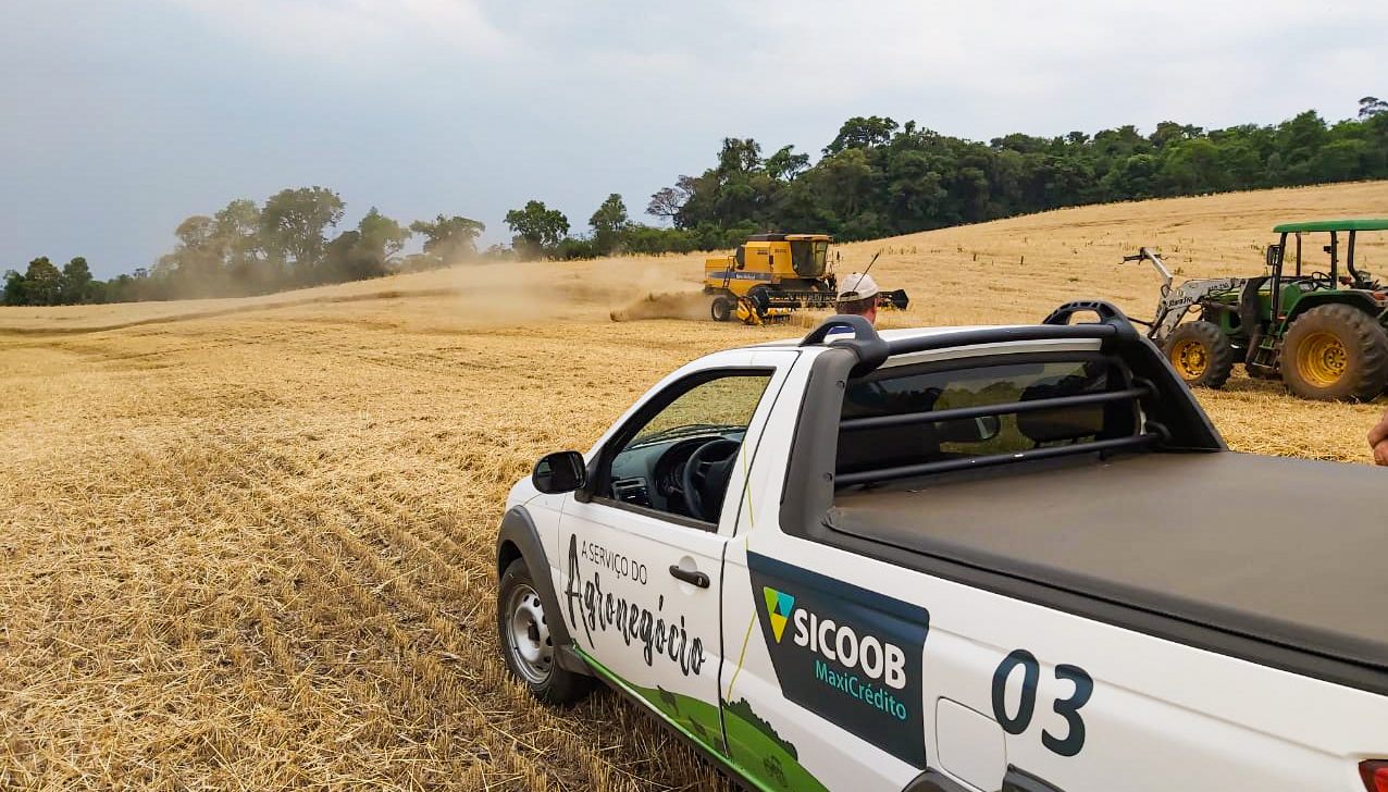 Apoio ao produtor rural: Sicoob MaxiCrédito duplica o volume de crédito concedido ao setor