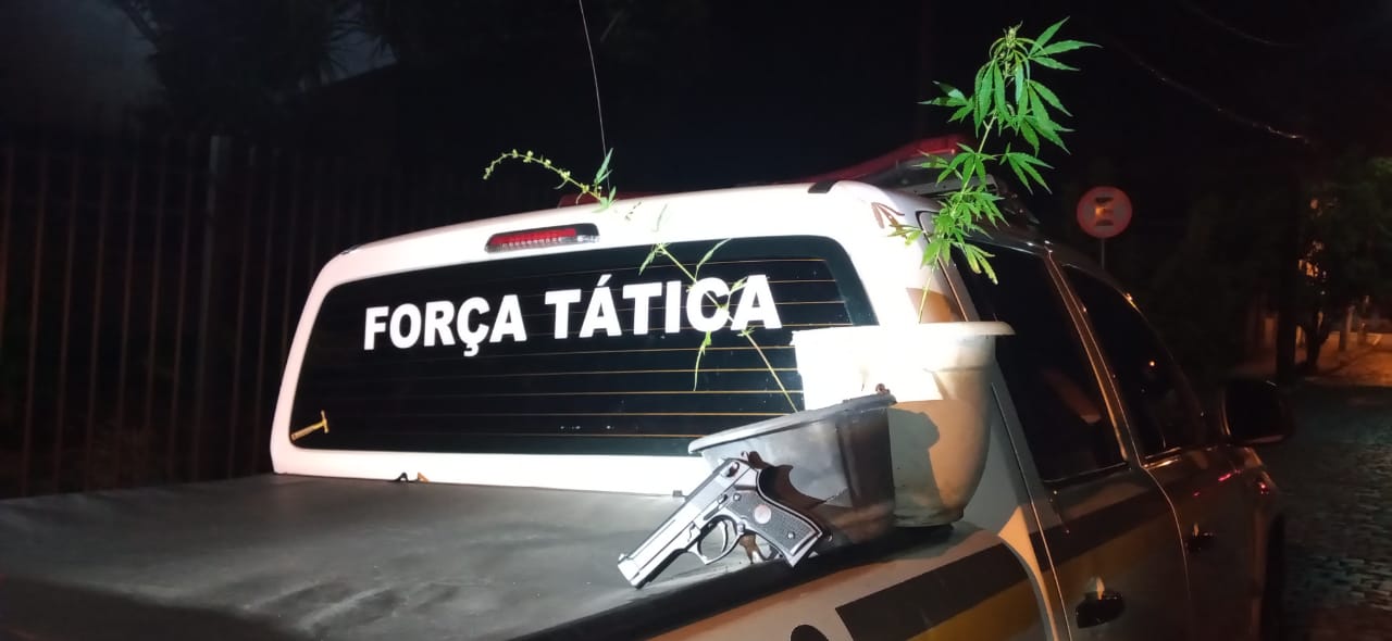 Foragido é preso em ação da Brigada que localizou pés de maconha e arma em Igrejinha