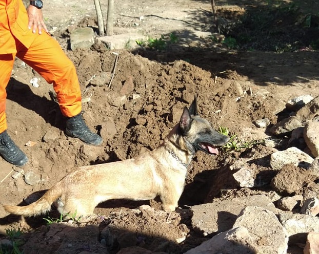 Polícia Civil e Bombeiros realizam buscas por mulher desaparecida no bairro Medianeira, em Taquara