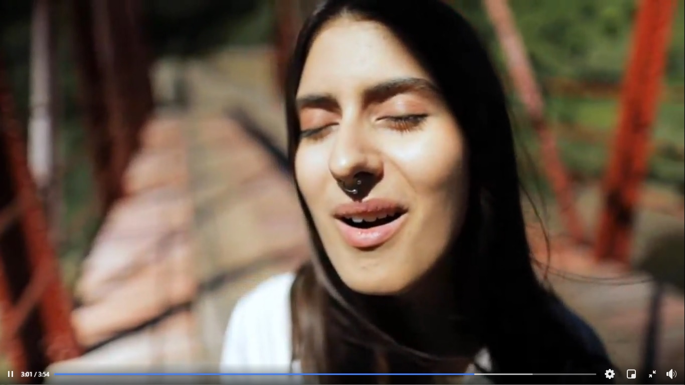 ASSISTA: novo trabalho da artista Letícia Roennau