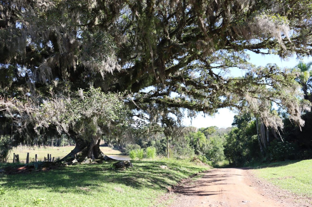 Projeto de cicloturismo terá mais de 100 quilômetros de estradas pelo interior de Taquara