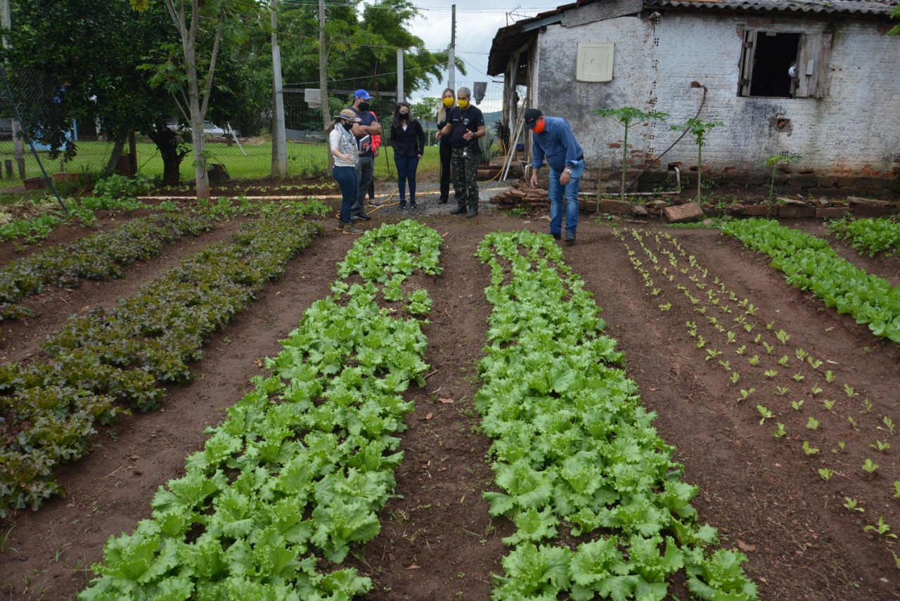 Secretaria do Interior e Emater estudam formas para recuperar o solo da horta do Presídio de Taquara