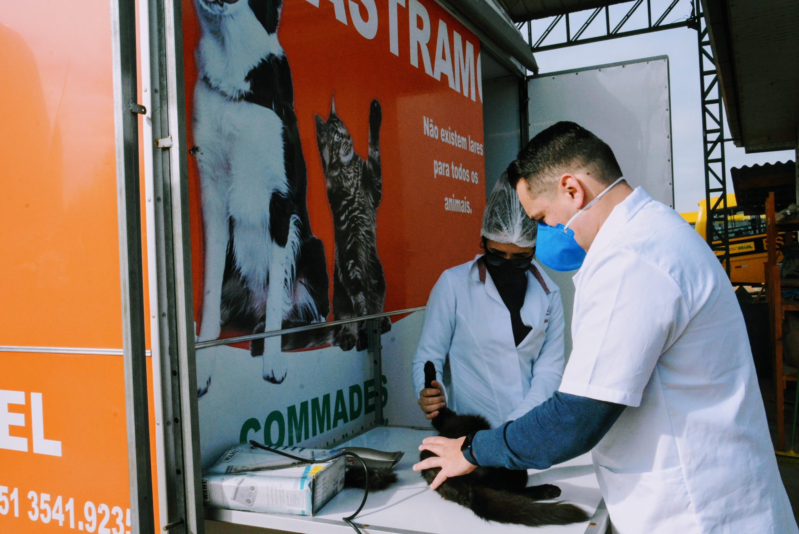 Castramóvel de Taquara atendeu 300 cachorras e gatas em um ano de retomada