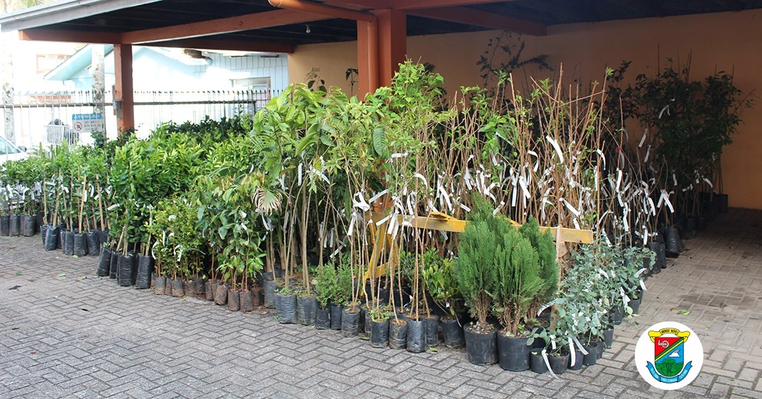 Três Coroas subsidia distribuição de mudas frutíferas