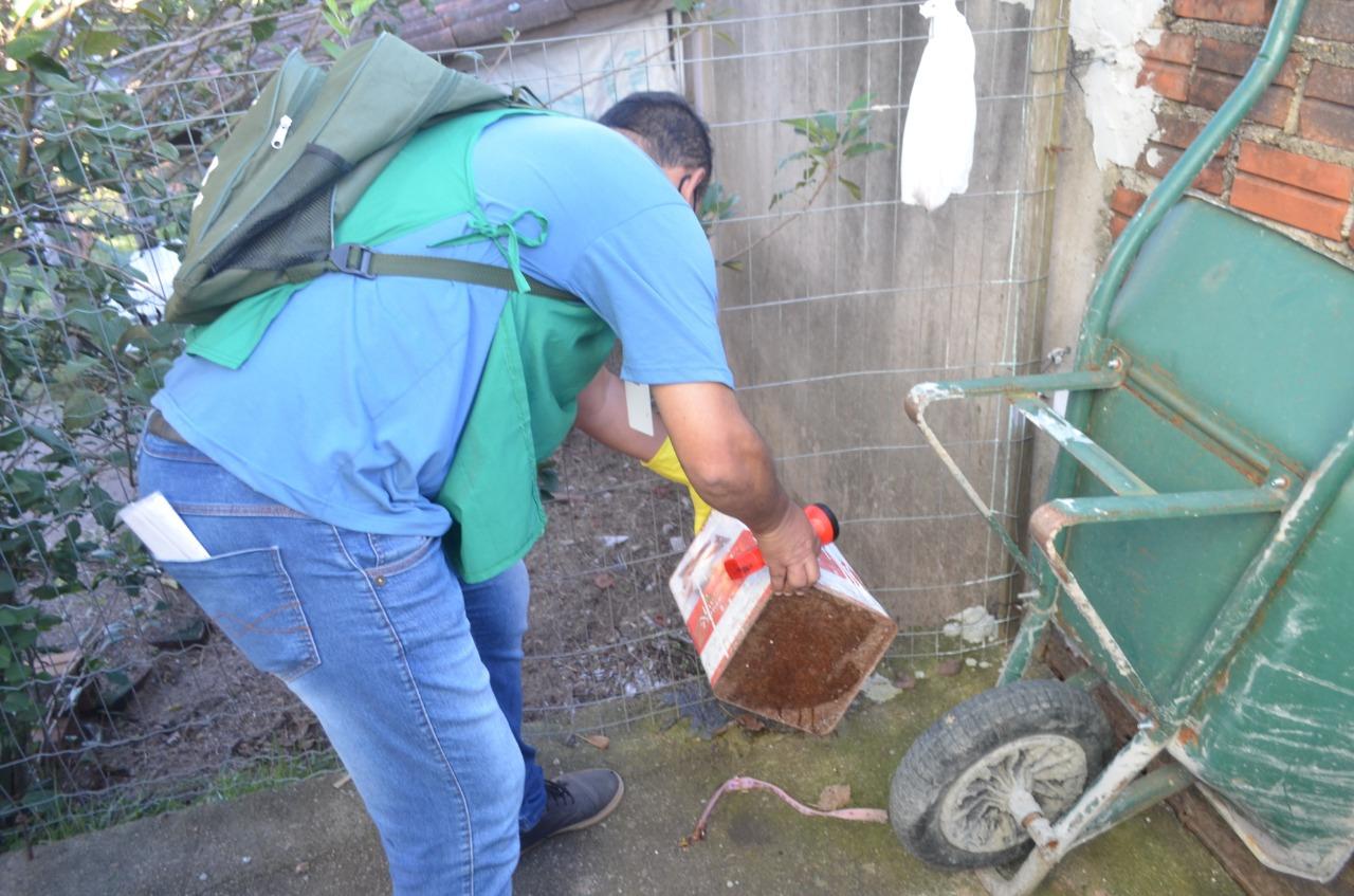 Vigilância Ambiental faz a coleta de larvas do mosquito da dengue em Taquara