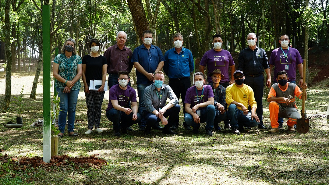 Sicoob MaxiCrédito lança projeto para plantar 40 mil árvores