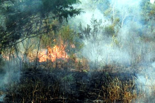 Aumento nos casos de incêndio em vegetação preocupa o Corpo de Bombeiros de Taquara