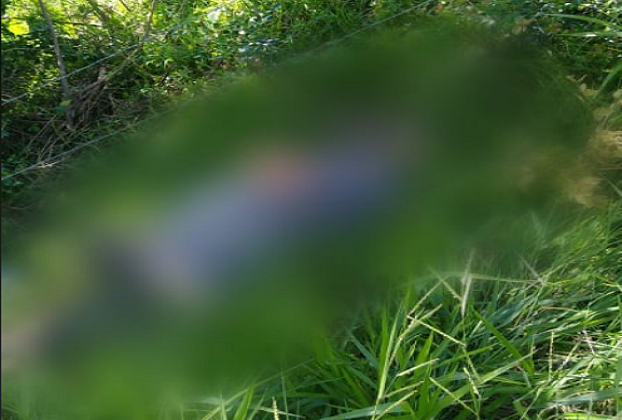 Taxista é encontrado morto em Parobé