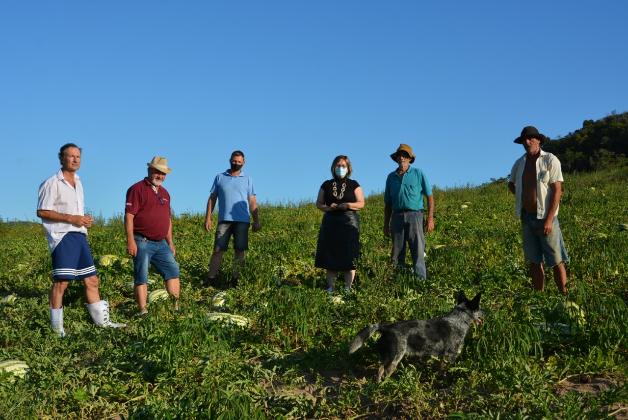 Realização da Feira da Melancia e Sapecada do Milho em janeiro é confirmada pela prefeitura de Taquara
