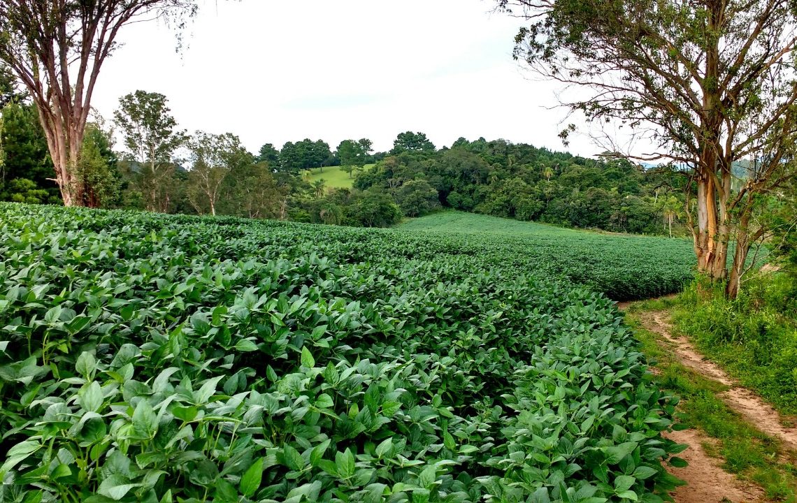 Sirlei decreta emergência em Taquara por conta da estiagem