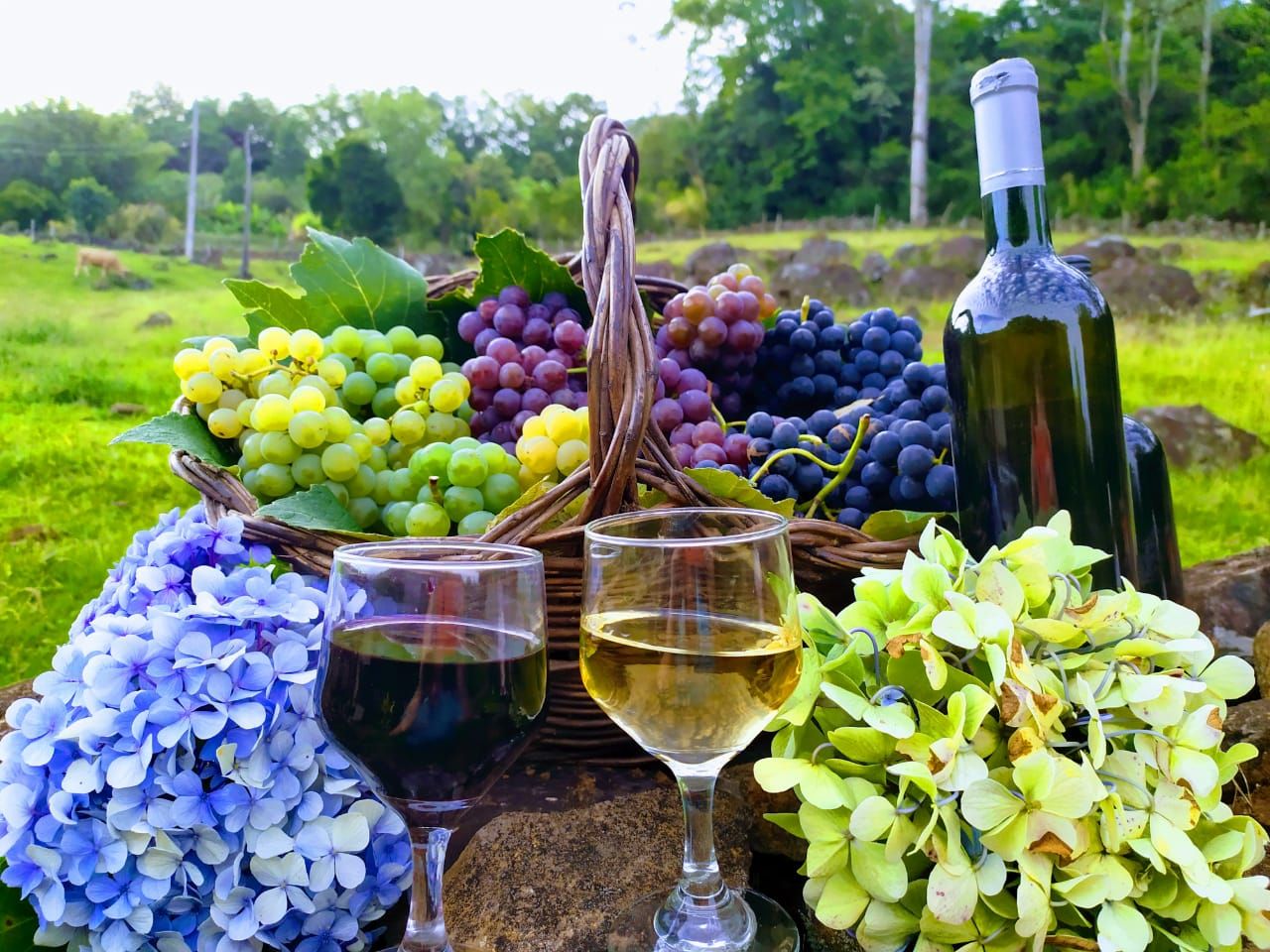 Sebrae-RS aponta Vale do Paranhana entre cinco regiões turísticas pouco exploradas no Rio Grande do Sul