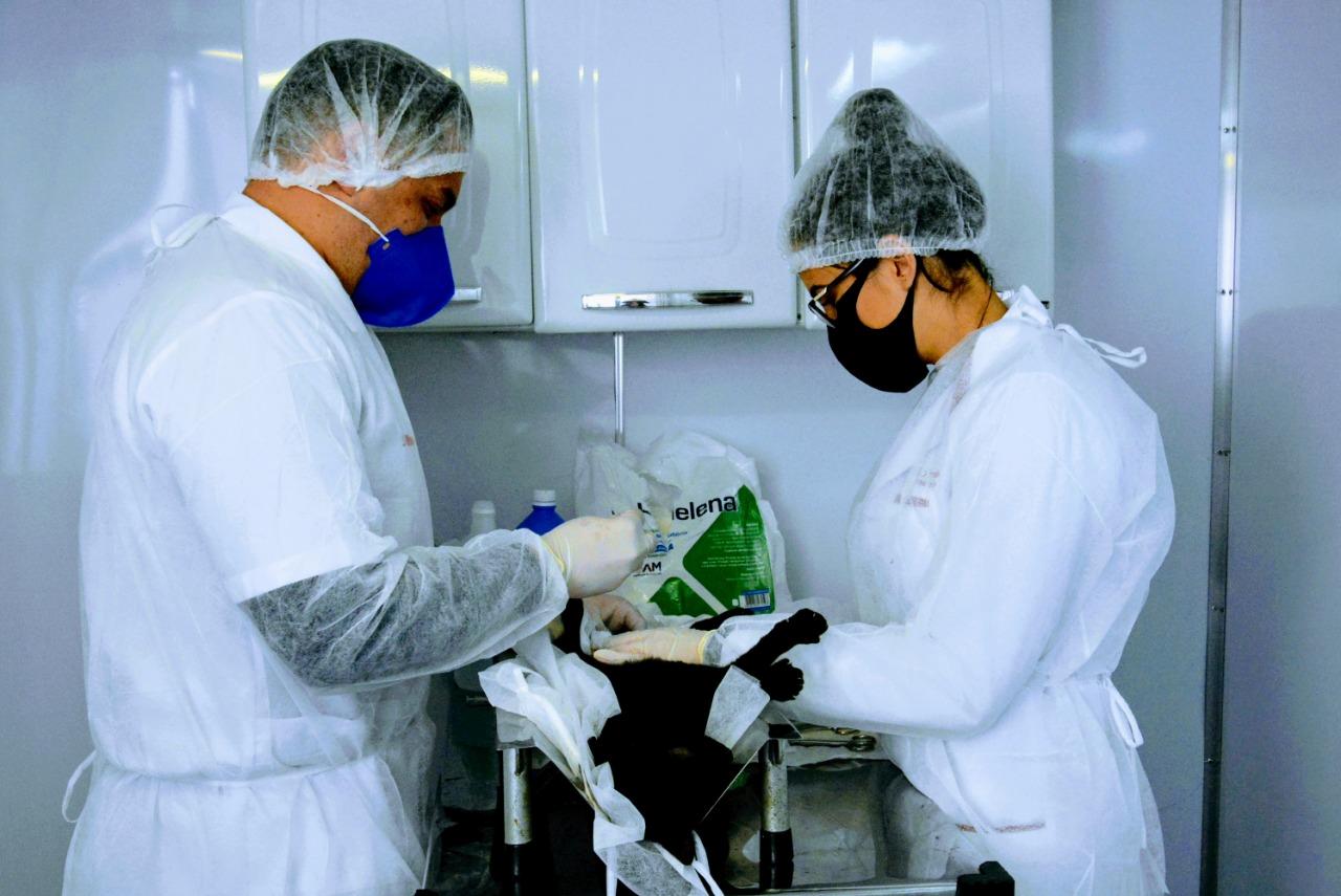 Secretaria de Meio Ambiente quadruplica atendimentos do Castramóvel em Taquara