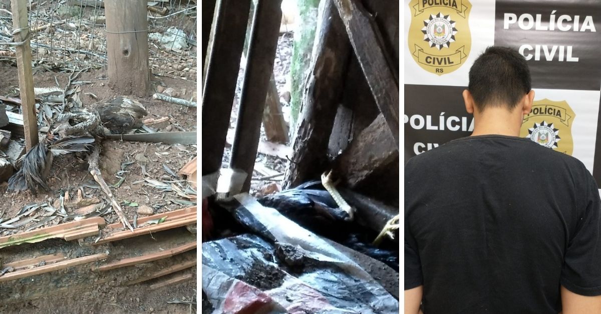 Homem é preso por posse de munição e maus tratos a animais em Parobé