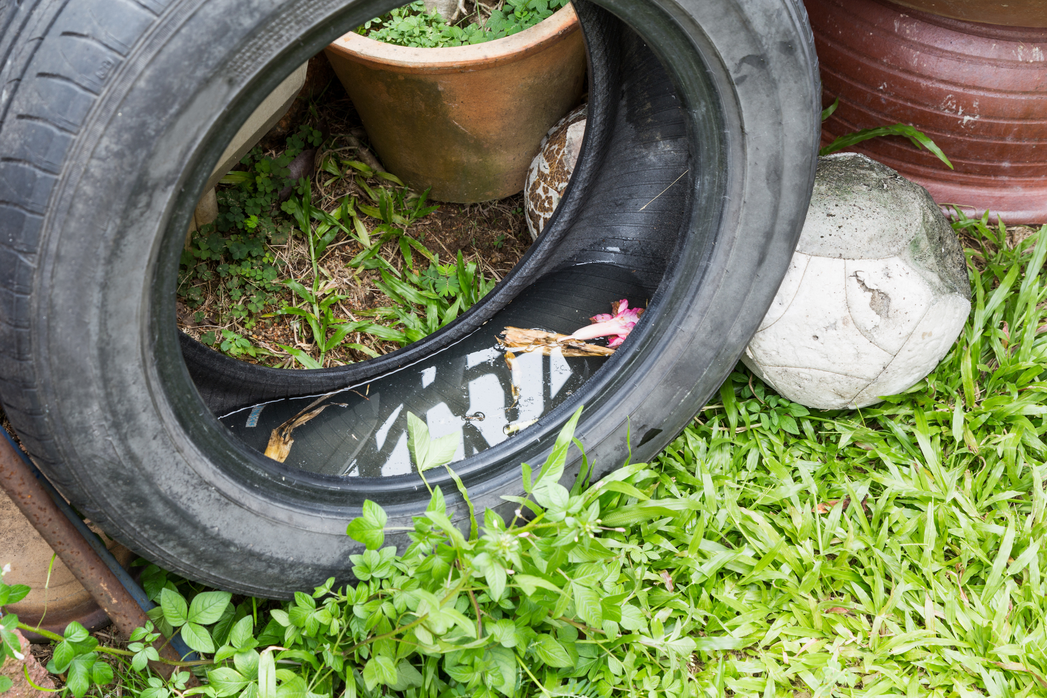 Igrejinha realiza ação no bairro Garibaldi e loteamento Vista Alegre contra o mosquito da dengue