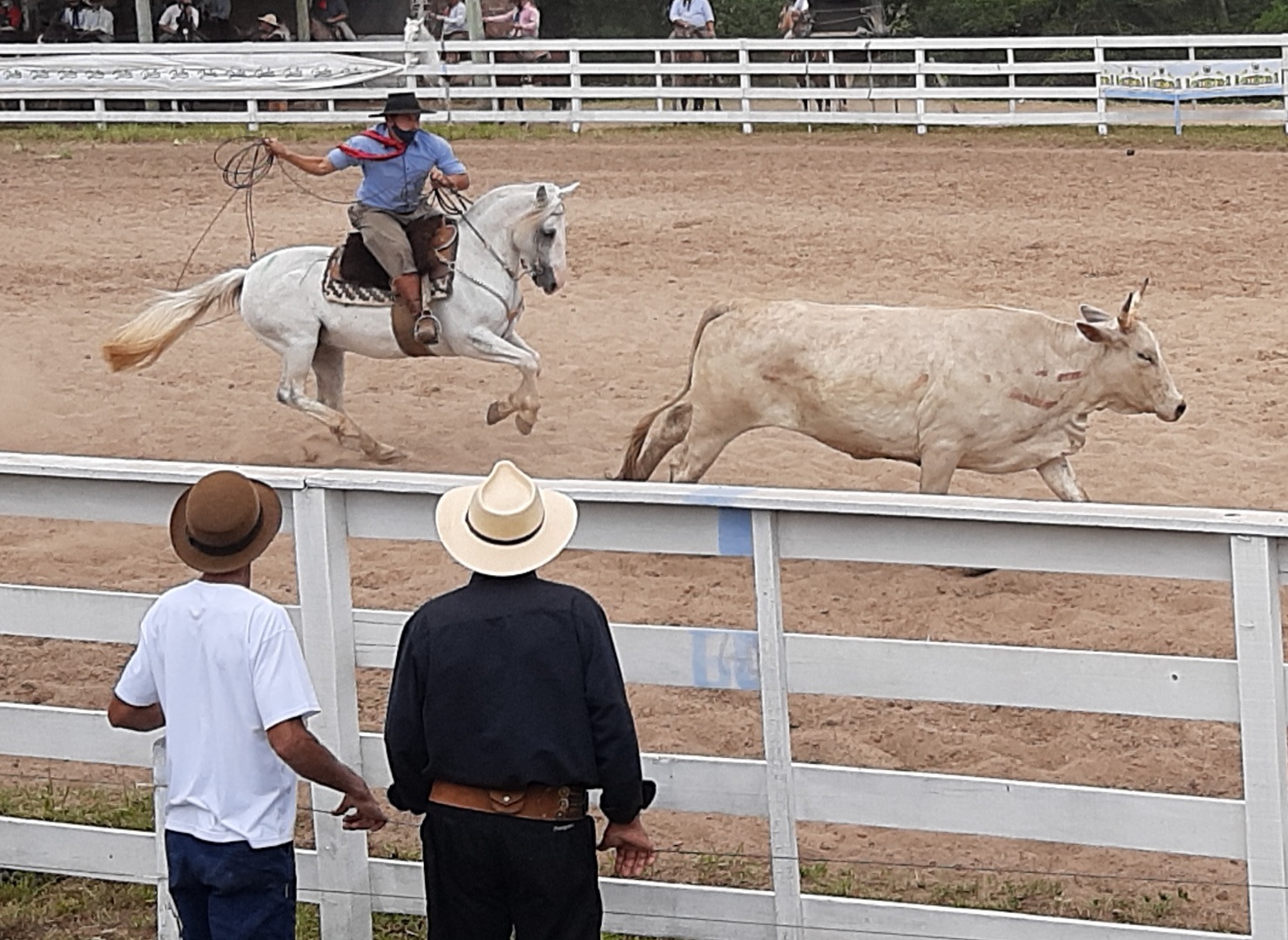 Aniversário de 136 anos de Taquara terá rodeio e atrações artísticas e musicais em abril