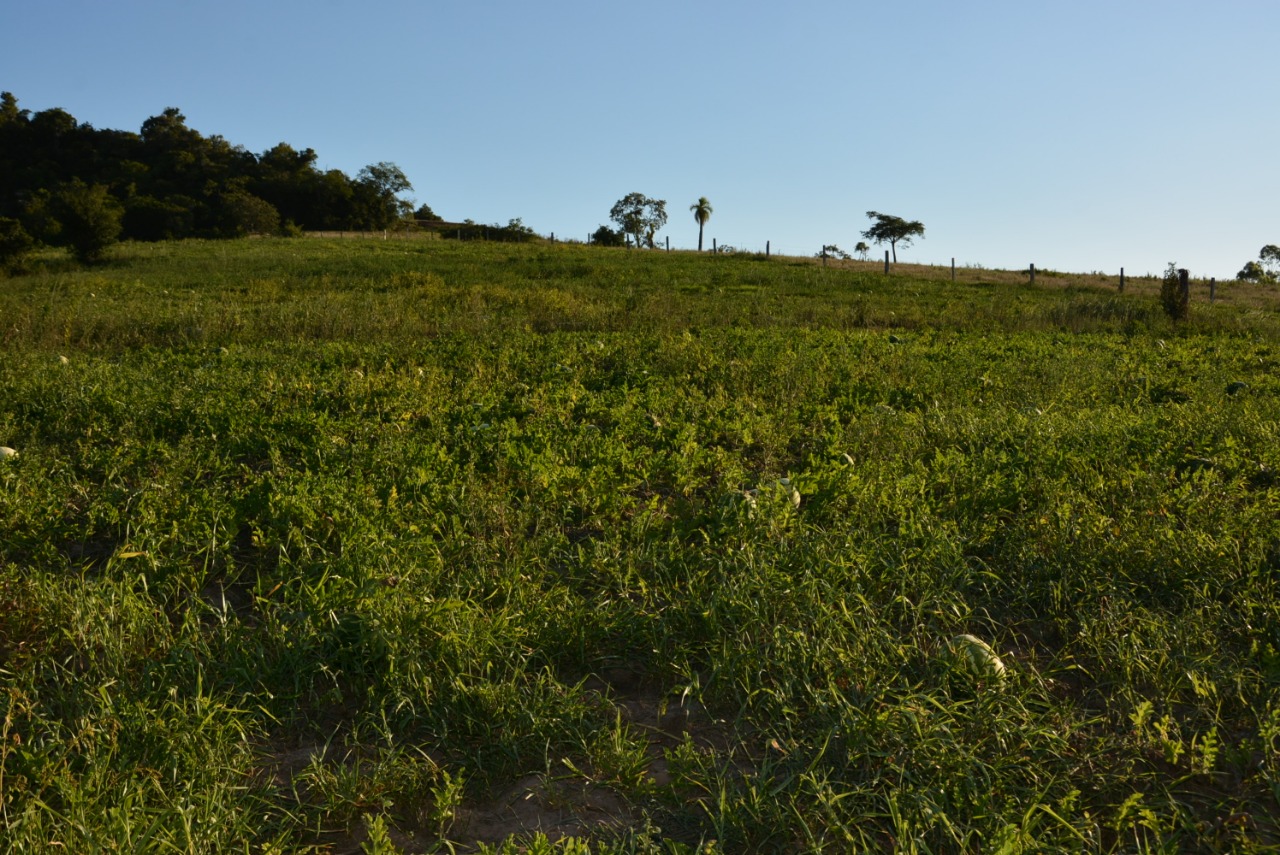 Secretaria de Agricultura de Taquara lança chamamento público para a construção de açudes