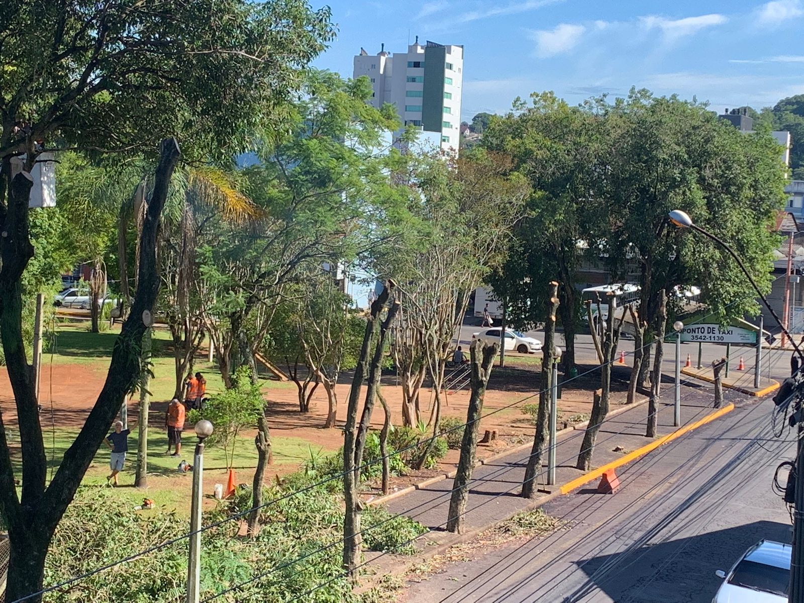 Moradores de Taquara se revoltam com a poda de árvores ao redor da Praça da Bandeira