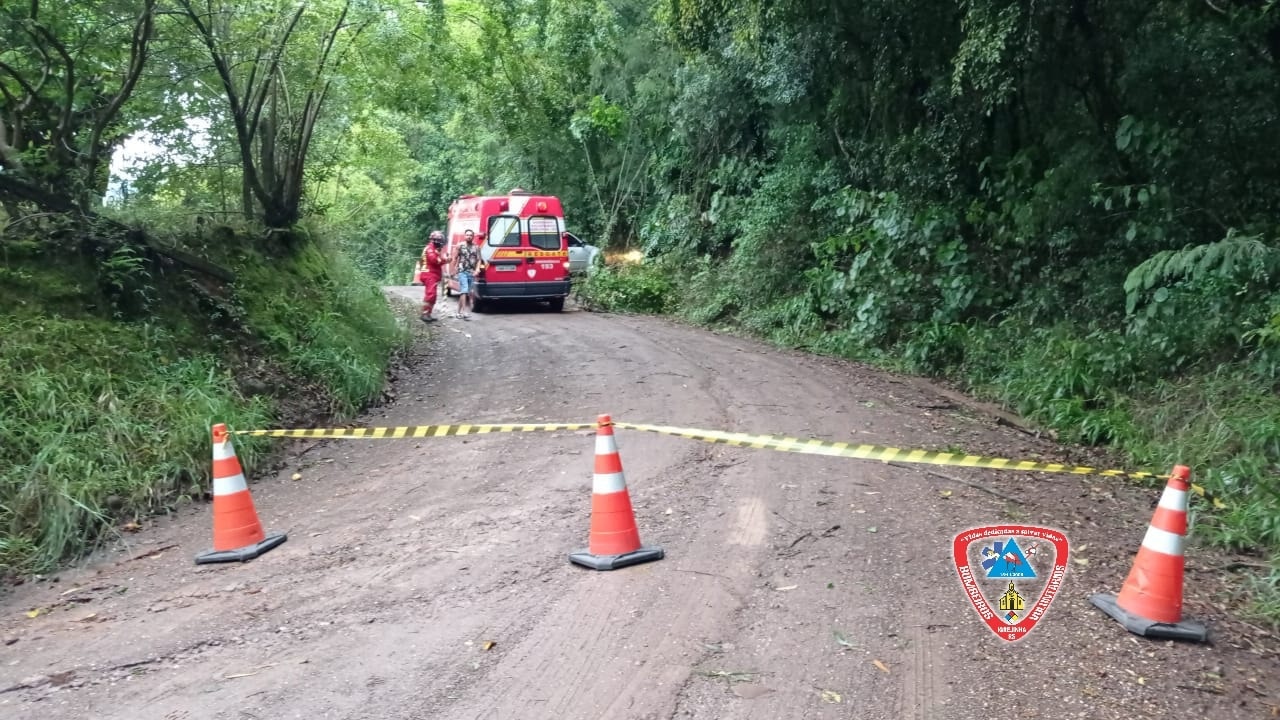 Estrada de Arroio Kampff está interditada após ventos derrubarem árvore sobre rede de energia em Igrejinha