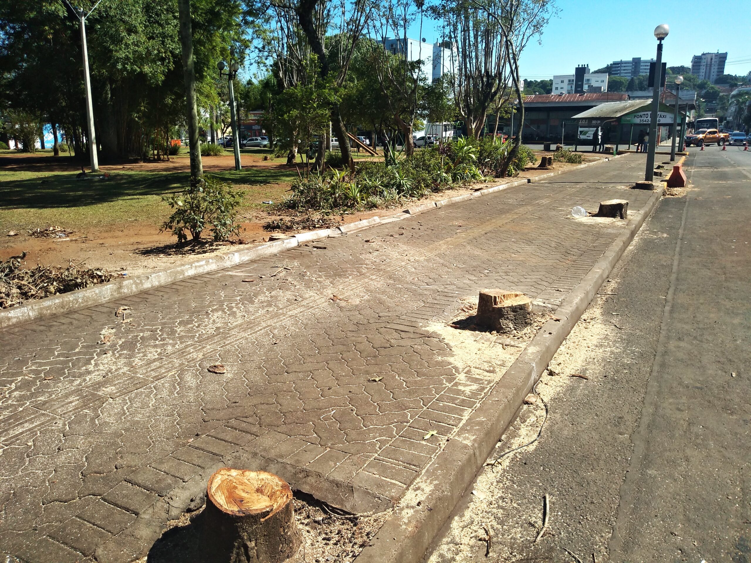 Prefeitura de Taquara informa que retirada das árvores da Praça da Bandeira faz parte da revitalização do espaço público