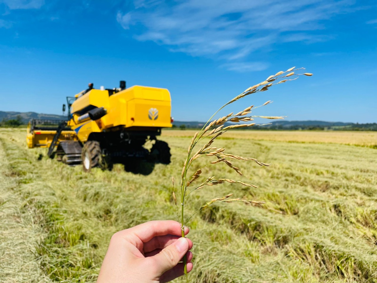 Taquara dá início à colheita do arroz