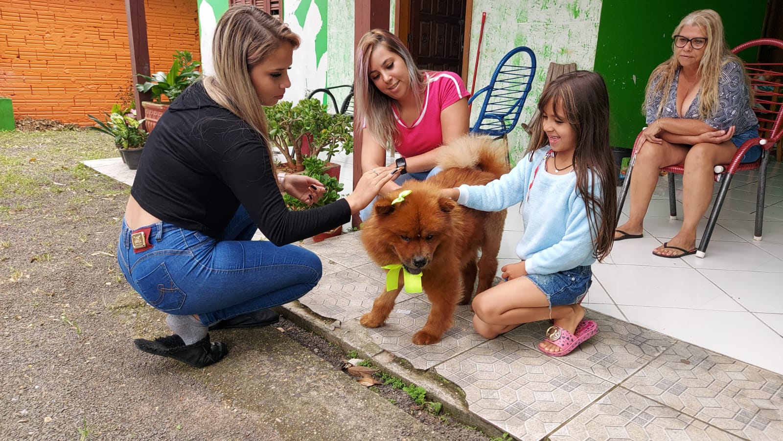 Feira de Adoção garante novo lar para cinco cães em Parobé