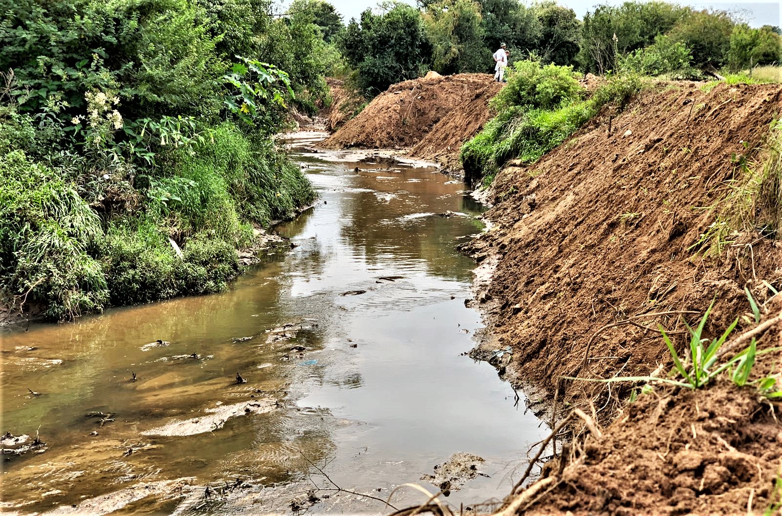 Secretarias de Obras e de Meio Ambiente de Parobé promovem limpeza e desassoreamento do arroio Funil