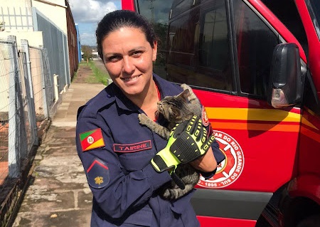 Corpo de Bombeiros resgata animal no topo de poste em Taquara