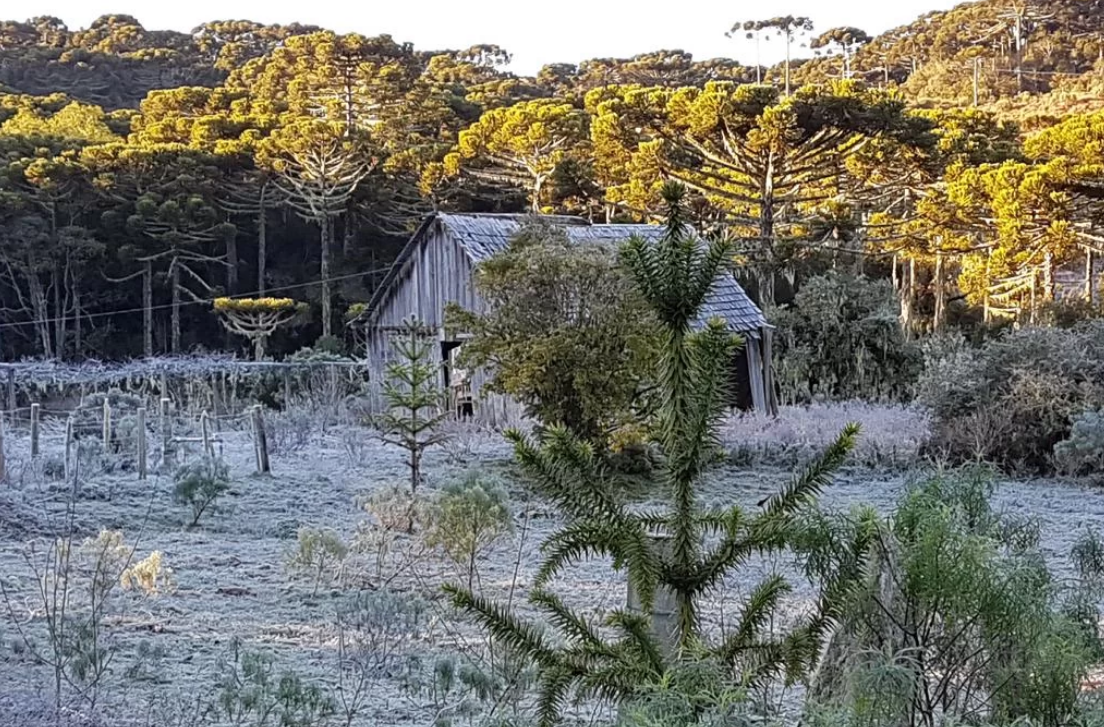 Possibilidade de neve, geada e fortes ondas de frio atingem o Sul do país a partir da próxima semana