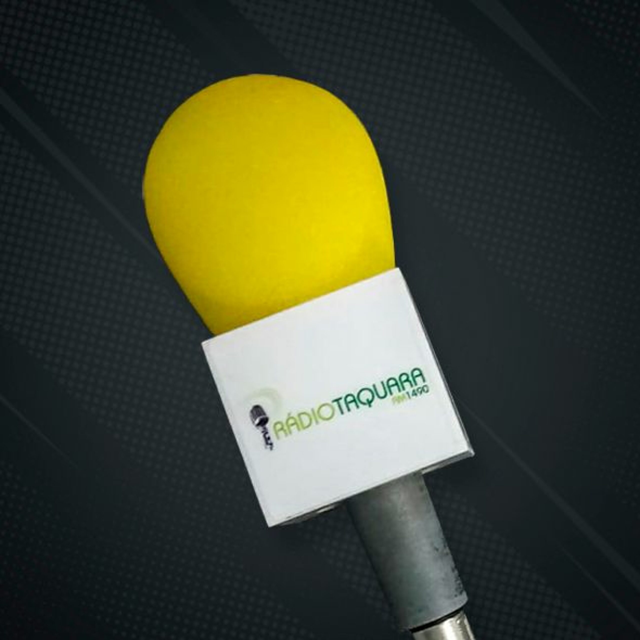 ENTREVISTA COM - Tarcísio Zimmermann - 16 05 2022
