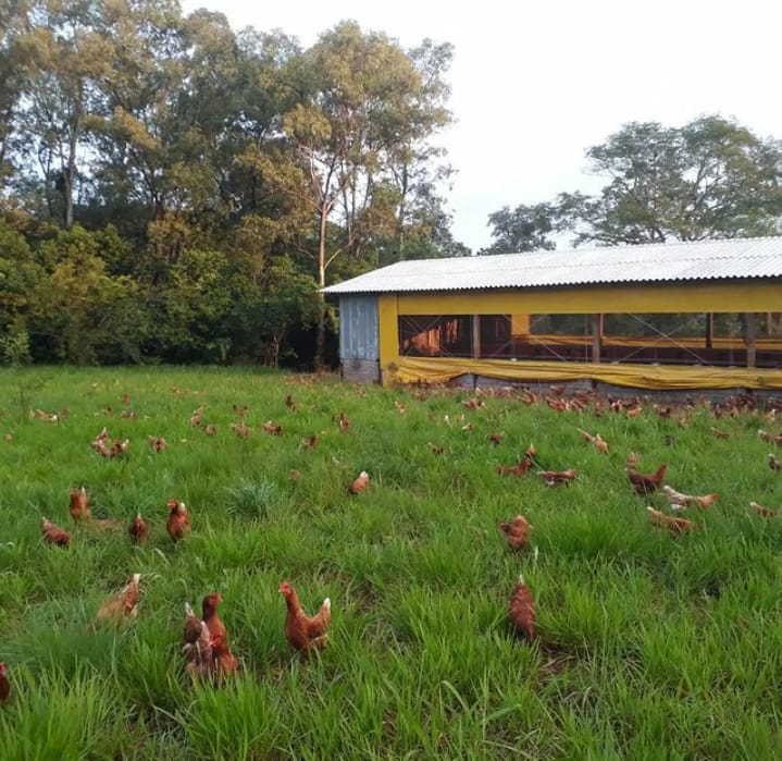 Serviço de Inspeção Municipal de Taquara fiscaliza produtos de origem animal