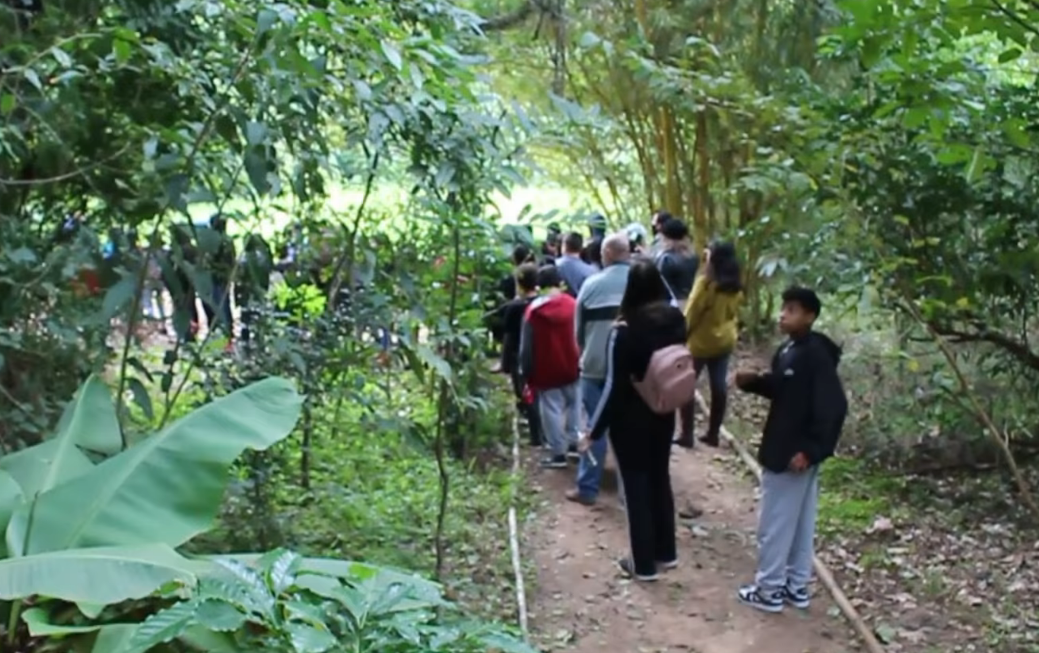 Trilhas no Horto Municipal de Parobé aproximam estudantes da natureza e promovem educação ambiental