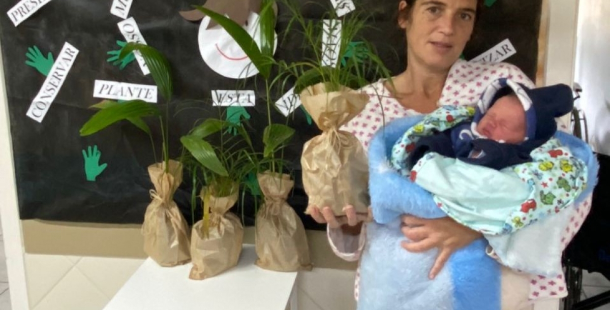 Bebês recebem mudas de plantas no hospital de Parobé