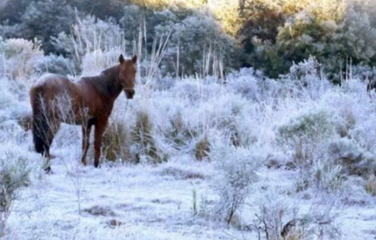 Temperaturas caem e Rio Grande do Sul poderá ter marcas de -10ºC e neve neste final de semana