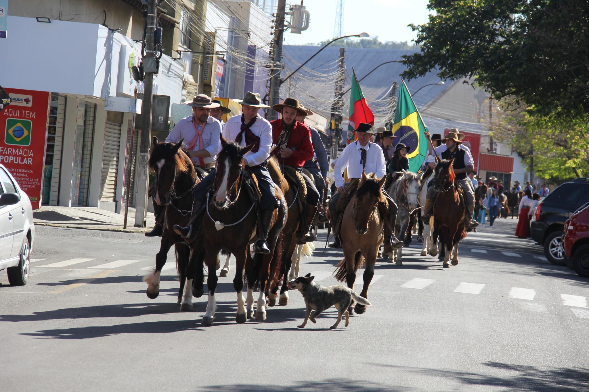 Confira imagens do Desfile Farroupilha de Parobé que ocorreu neste domingo (18)
